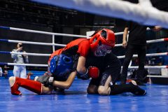 img-011