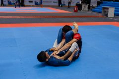 img-010