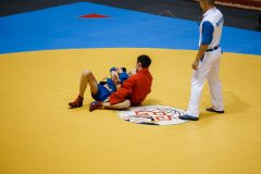 img-243