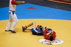 img-245