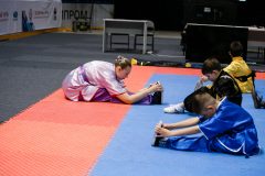 img-249