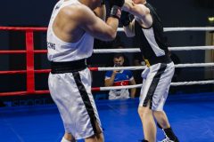 img-0366