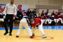 img-0082