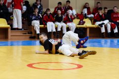 img-0186