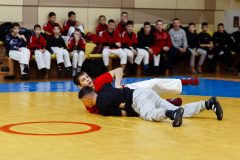 img-0192