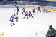IMG_7511
