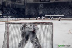 IMG_8505
