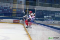 IMG_8655