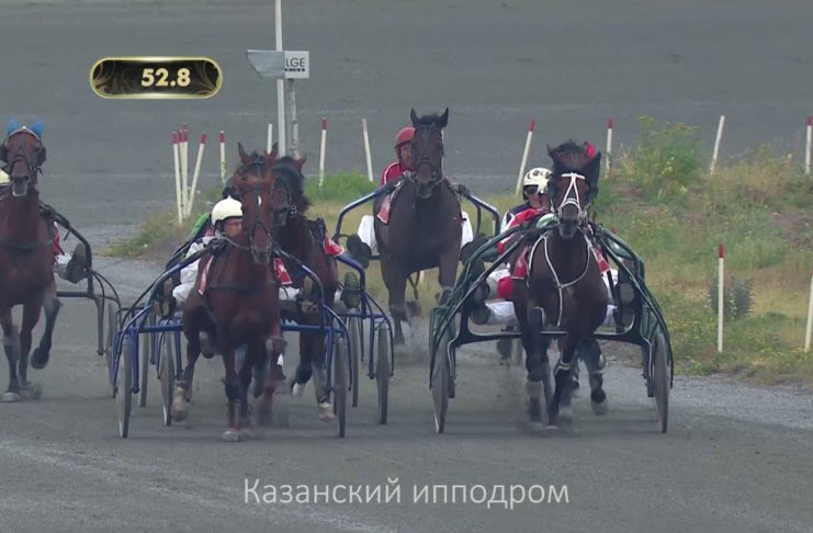 7 июня на Казанском Ипподроме в заезде в честь Мемориала С.А.Касименко (для лошадей 2016 г.р) Зов Предков РМ (Weingartner — Затишь) занял 1 место!