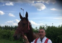 21 июня на Казанском Ипподроме в заезде на Приз в честь «Сельской молодежи» жеребец Зов Предков РМ (Weingartner — Затишь) установил рекорд Казанского Ипподрома для 3-летних лошадей, рожденных в России!!!