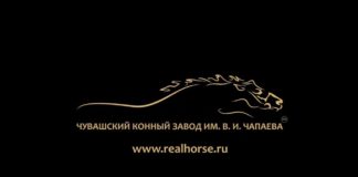 Лошади, рожденные в 2018 году в Чувашском Конном Заводе, которые будут участвовать во Всероссийском Аукционе Рысистых Лошадей 12 июля 2019 на Раменском Ипподроме