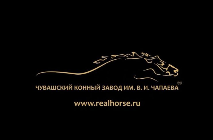 Лошади, рожденные в 2018 году в Чувашском Конном Заводе, которые будут участвовать во Всероссийском Аукционе Рысистых Лошадей 12 июля 2019 на Раменском Ипподроме