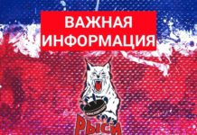 «Красноярские Рыси» ушли на карантин в связи с заражением команды COVID 19