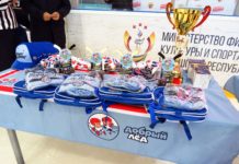 В Чувашии прошел полуфинал межрегионального этапа «Кубка «Добрый лед»