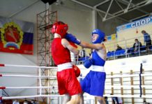 В Цивильске разыграны награды Всероссийского турнира по боксу «Мужество»