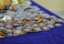 В Новочебоксарске завершился чемпионат по всестилевому каратэ