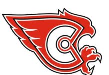 Изменения в составе МХК «Сокол»