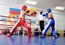 Кикбоксеры определили сильнейших на чемпионате и первенстве Чувашии