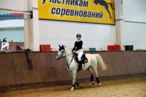 Воспитанники республиканской конно-спортивной школы определили сильнейших в турнире по конкуру 1 hd dsc08506 Воспитанники республиканской конно-спортивной школы определили сильнейших в турнире по конкуру