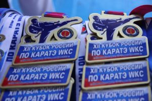 tLjRfp VnzA В Новочебоксарске прошел XII Кубок Федерации каратэ России по версии WKC