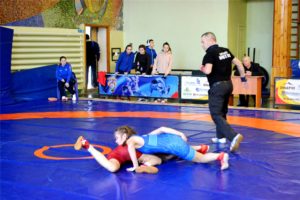 hd dsc4223 Разыграны медали первенства Чувашии по вольной борьбе
