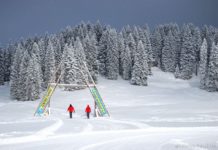 Воспитанники СШ им. А.И. Тихонова г. Чебоксары выехали на чемпионат и кубок Мира по триатлону