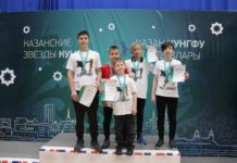 Фестиваль «Казанские Звёзды Кунг-фу»