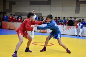 hd dsc 0204 1 Юные самбисты Чувашии борются за медали Кубка Спортивной школы олимпийского резерва № 10 имени А.И. Трофимова