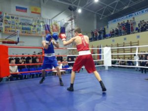 1f33e1eb 3f64 43ba ab43 35cbfb249b20 Разыграны медали открытого турнира по боксу в г. Цивильск