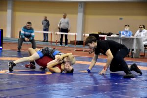 hd dsc 0396 Глава Чувашии Олег Николаев открыл первый республиканский турнир по вольной борьбе памяти Героя России Дмитрия Семёнова