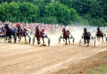 При конноспортивной школе планируется строительство ипподрома
