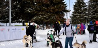 Чувашия присоединилась к празднованию Дня зимних видов спорта
