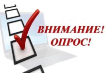 Опрос для подростков: хотели бы вы заниматься боевыми искусствами?