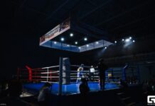 На ринг, ковер и татами выйдут десять федераций: прямая трансляция Фестиваля боевых искусств 24 августа