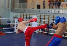 Предлагаем вспомнить Городской фестиваль боевых искусств