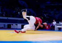Олег Николаев возглавил рабочую группу по организации II Всемирных игр национальных видов единоборств в Чувашии