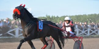 Архангел Лок опередил фаворитов